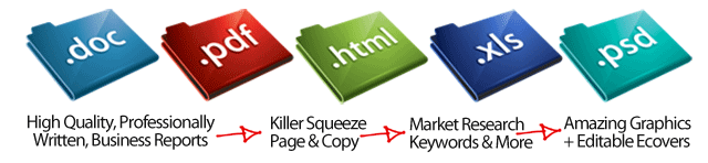 We feature ready-made PLR products