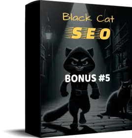 Black Cat SEO small