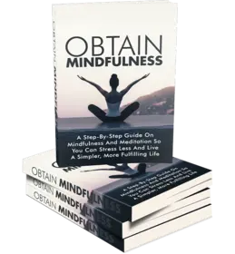 Obtain Mindfulness small